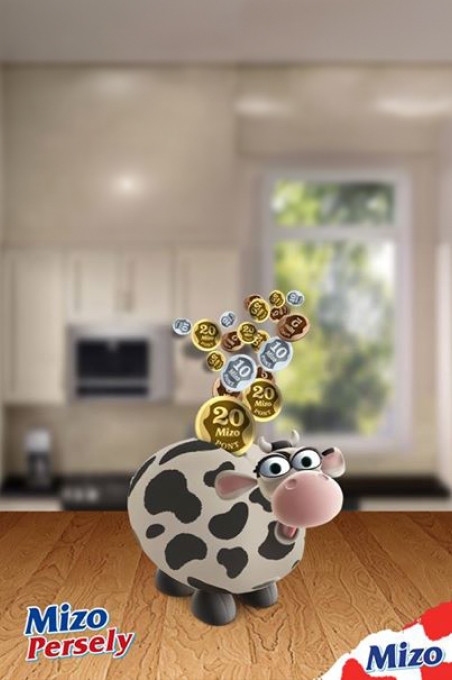 'Mizo Moneybox' Program