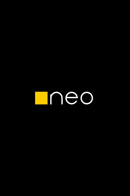 Neo Interactive website